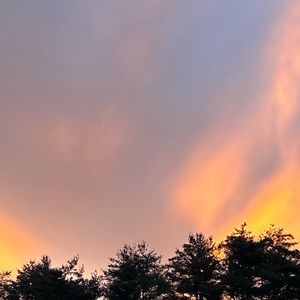 Meet your Posher, Charles